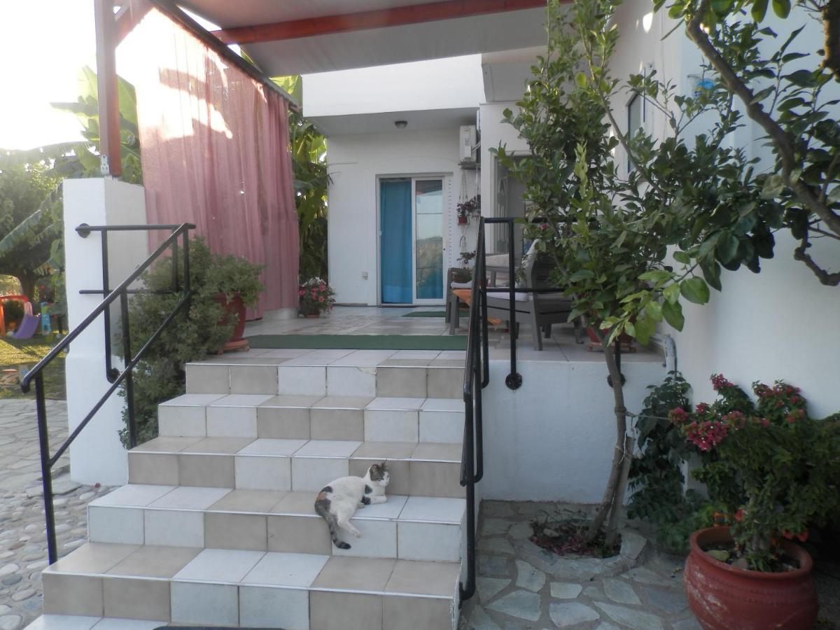 Silvi Mari Apartments Platanias Extérieur photo