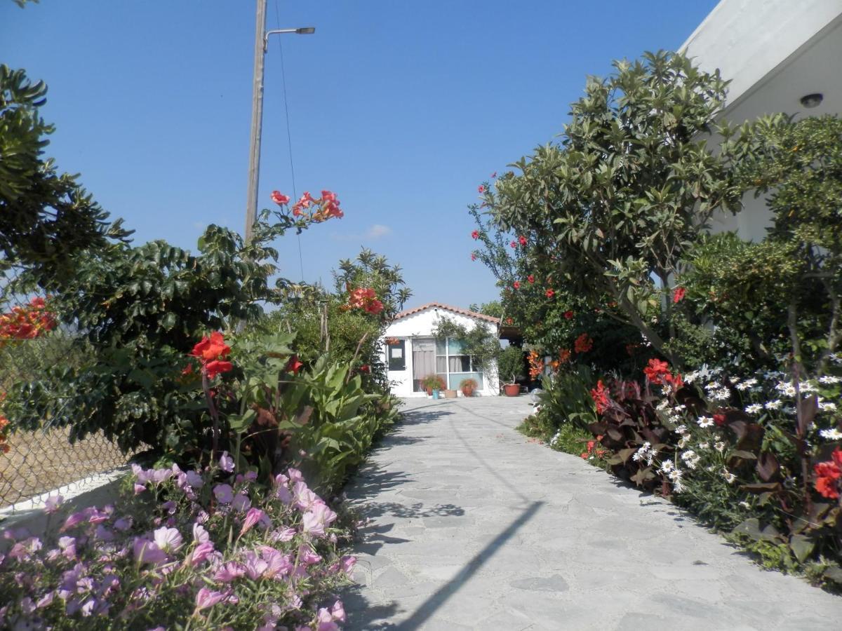 Silvi Mari Apartments Platanias Extérieur photo