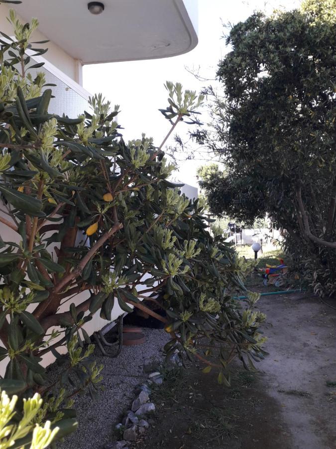 Silvi Mari Apartments Platanias Extérieur photo