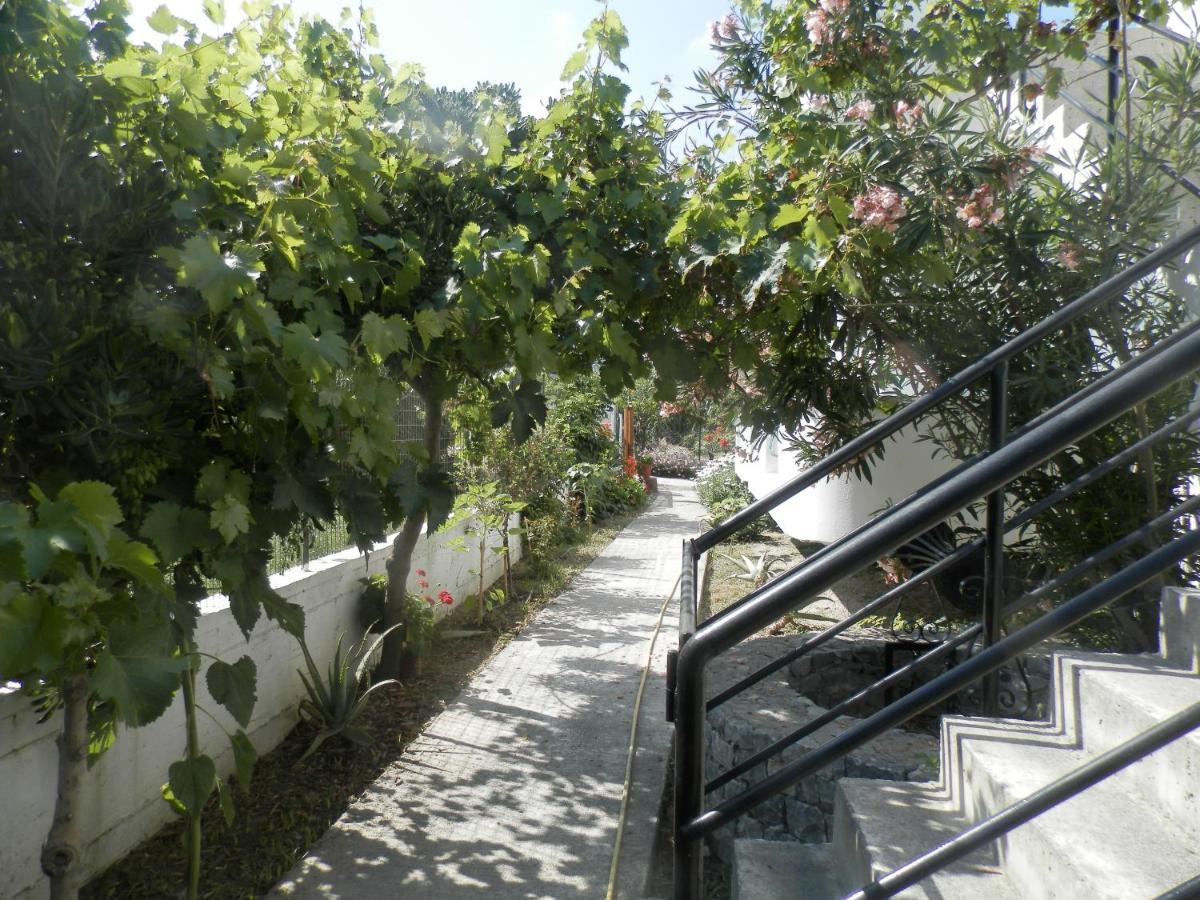 Silvi Mari Apartments Platanias Extérieur photo
